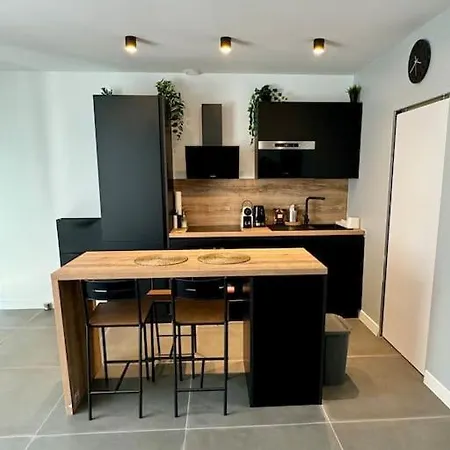 Apartment 3 T3 Neuf Entierement Climatise - Stade-eurexpo