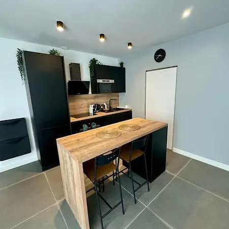 Apartment 3 T3 Neuf Entierement Climatise - Stade-eurexpo *